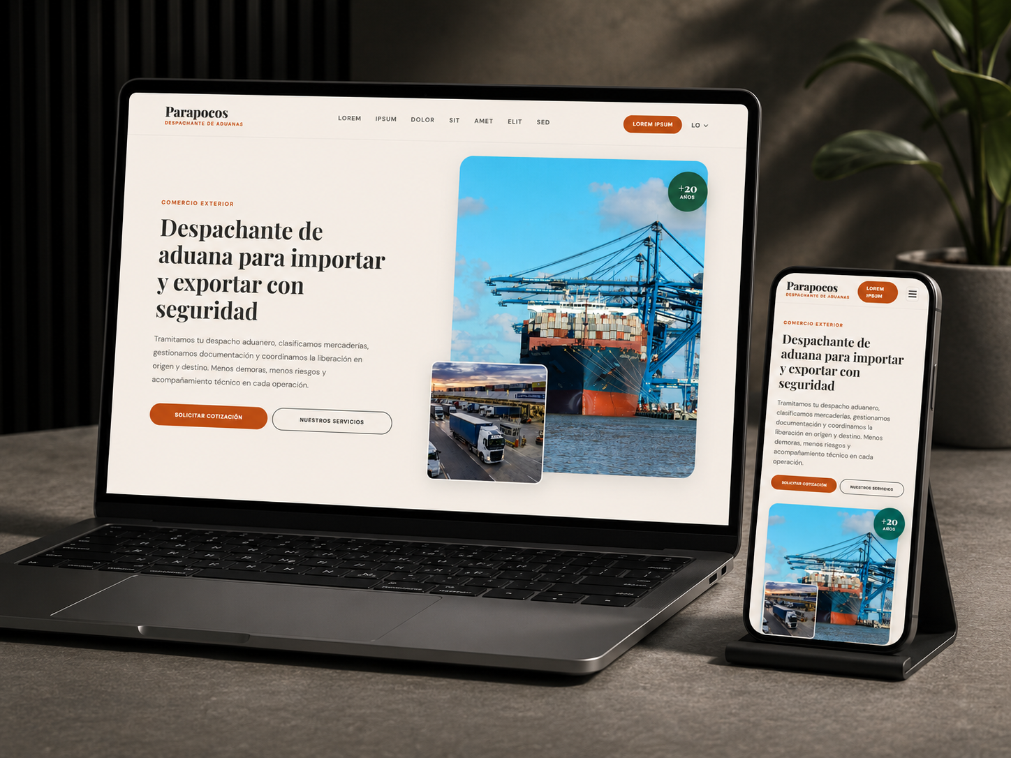 Landing page para despachante de aduanas